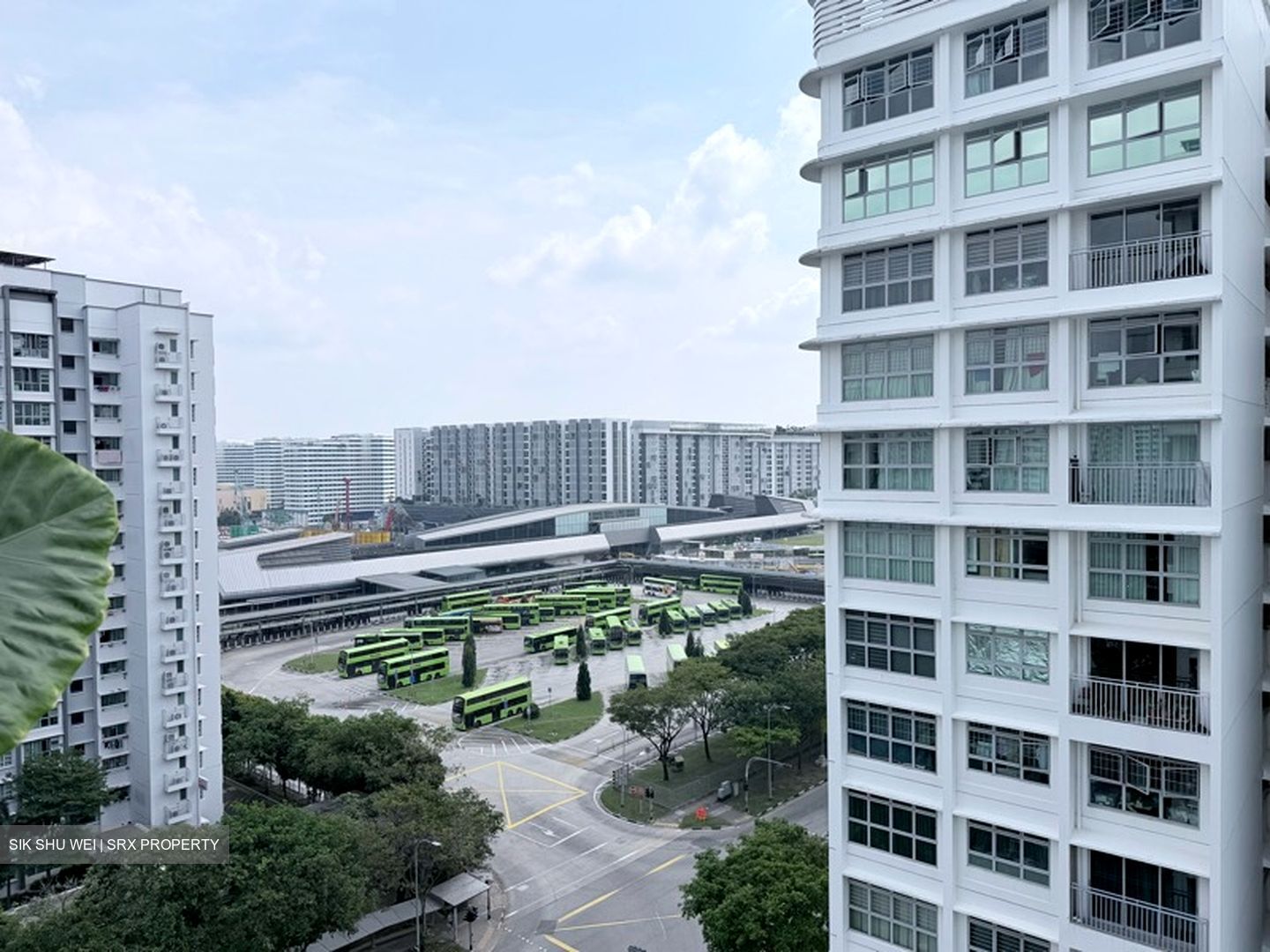 Blk 288A Punggol Arcadia (Punggol), HDB 4 Rooms #597757641